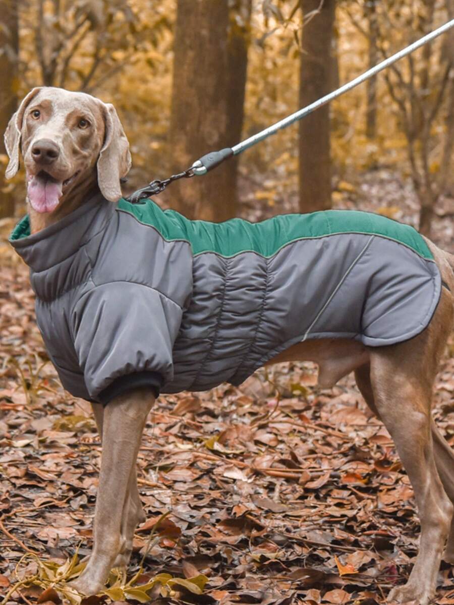 Ropa Elástica Simple De Moda Colorblock Para Mascotas Adecuada Para Otoño E Invierno - Verde - Ver 1