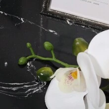 A七帶頭膠合人造蝴蝶蘭,白色,仿真花,擬真綠植,工廠風俗,學校宿舍辦公室裝飾用品,回到學校季節裝飾用品,戶外派對活動假期生日派對裝飾用品,聖誕萬聖節收成節日裝飾,家庭門酒店餐廳客廳臥室婚宴廚房花園裝飾用品 - 白色 - 查看 8