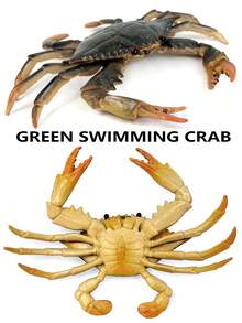 1入組綠色彈性塑料材質的海洋馬蹄蟹模型,逼真的細節,適合室內裝飾,教育孩子的禮物