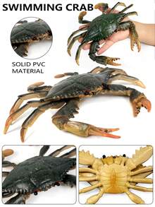 1入組綠色彈性塑料材質的海洋馬蹄蟹模型,逼真的細節,適合室內裝飾,教育孩子的禮物