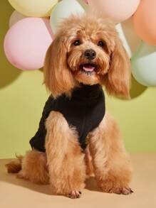 1pc Black European & American Style Pet Clothing Fashionable High Collar Solid Color Twisted Knit Teddy & Pomeranian Sweater - Black - View 4