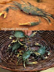 1入組綠色彈性塑料材質的海洋馬蹄蟹模型,逼真的細節,適合室內裝飾,教育孩子的禮物