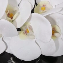 A七帶頭膠合人造蝴蝶蘭,白色,仿真花,擬真綠植,工廠風俗,學校宿舍辦公室裝飾用品,回到學校季節裝飾用品,戶外派對活動假期生日派對裝飾用品,聖誕萬聖節收成節日裝飾,家庭門酒店餐廳客廳臥室婚宴廚房花園裝飾用品 - 白色 - 查看 9