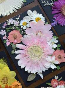 20入組樹脂用乾燥壓花,真正的乾燥壓花乾葉,diy用量大的天然草本套件,適用於環氧樹脂珠寶模具,手工蠟燭、手工皂製作、指甲裝飾