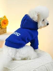 1件狗貓寵物服飾,適用於小型至中型寵物,兩腳帽衫款式-勇敢藍光板運動襯衫 - 藍色 - 查看 9