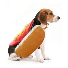 Disfraz De Hot Dog Para Mascotas, Ropa Para Gatos - Amarillo - Ver 4