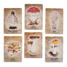 Mushroom Spirit Oracle English Cards Small Size For Holiday Family Friends Party Divination Board Game Fate Future Playing Card - Multicolor - View 6