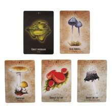 Mushroom Spirit Oracle English Cards Small Size For Holiday Family Friends Party Divination Board Game Fate Future Playing Card - Multicolor - View 5