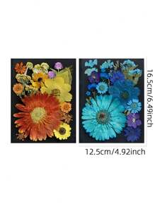 20入組樹脂用乾燥壓花,真正的乾燥壓花乾葉,diy用量大的天然草本套件,適用於環氧樹脂珠寶模具,手工蠟燭、手工皂製作、指甲裝飾