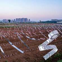 1個,驅鳥膠帶,反光驅鳥膠帶,驅鳥裝置,驅鳥帶,驅鳥設備,防禦花園、家庭和農場的防禦控制 - 銀色 - 查看 7