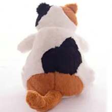 New Arrive 30cm Japanese Kawaii Soft Plush Cat Toys Stuffed Animal Dolls Best Gift Lovely Fat Cats Pillow Home Decoration