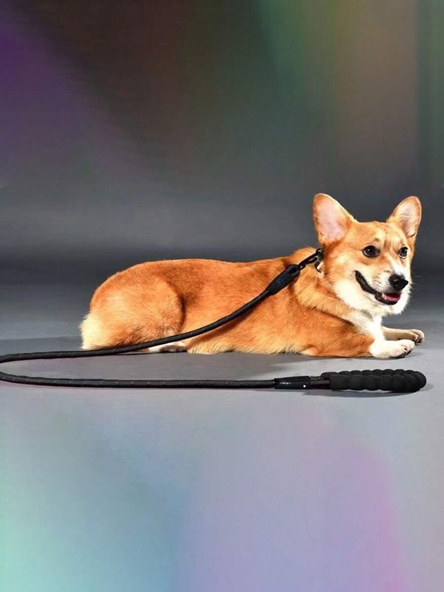 Pet Reflective Dog Leash For Walking - Multicolor - View 1
