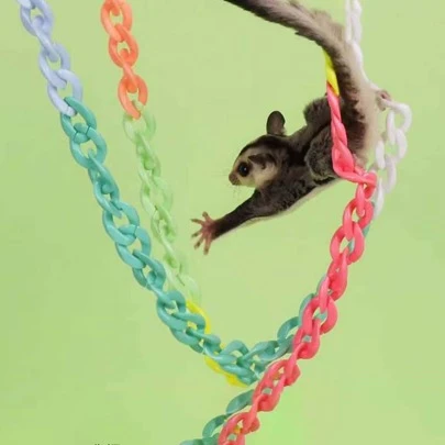 1 Pack 50pcs Random Color Acrylic Mini Ferret Climbing Toy For Pet Birds