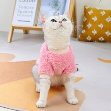 1件水果刺繡和雙面絨布寵物衣服,針對波美拉尼亞犬、泰迪犬、比熊犬等小型和中型品種的冬季服裝,供貓狗使用