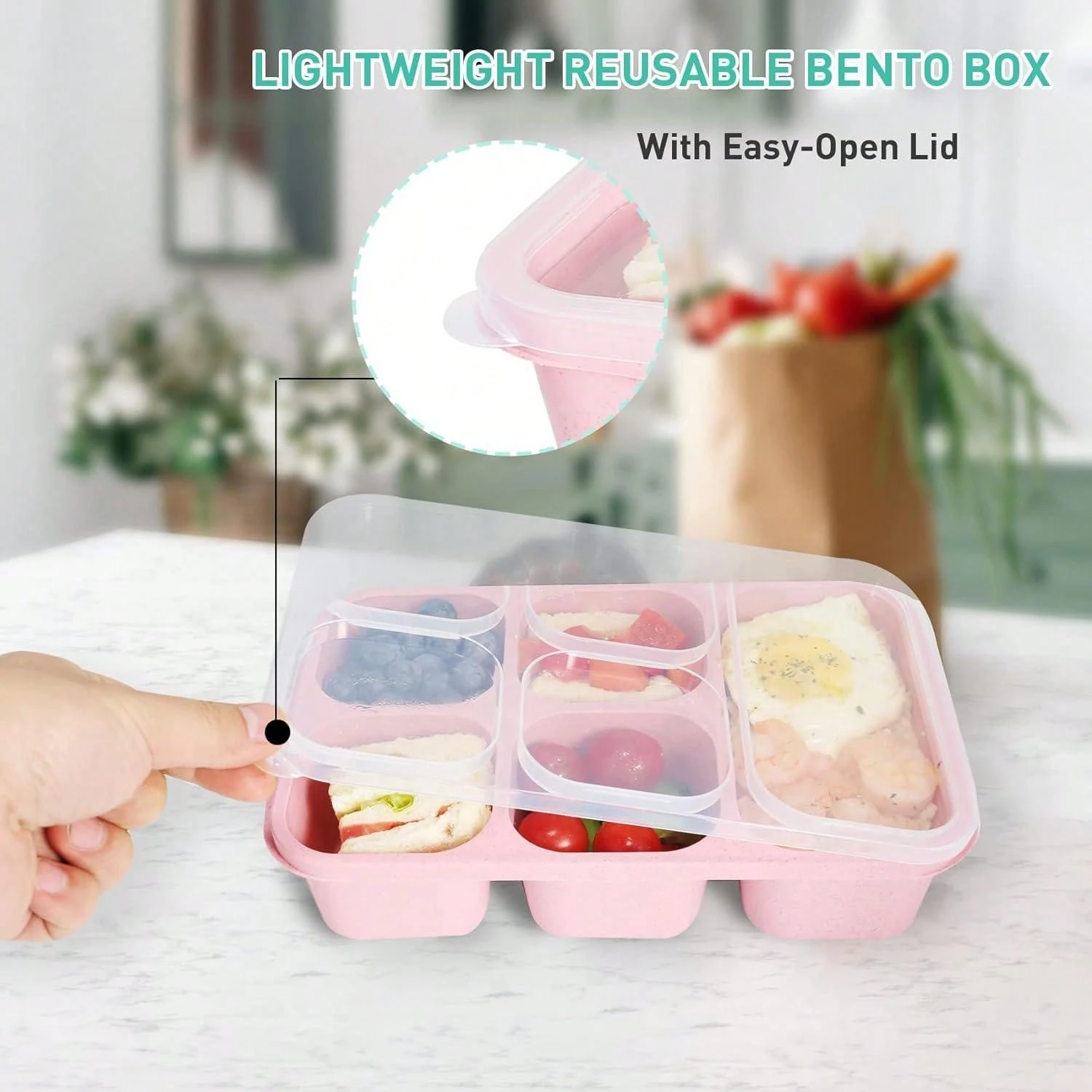 Multi-compartment Food Storage Container | SHEIN USA