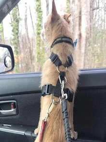 1pc Multicolor Pet Car Safety Belt With Reflective Tape & Back Strap, Dog Traction Rope - Black - View 2