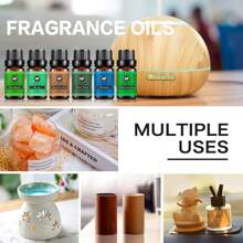 KANHO 自然礼盒套装 松树海洋雨鲜草檀香竹香薰精油套装 10ml*6件 天然成分 精选天然植物原料 适合所有肤质 为按摩和香薰机和扩散器添加香味 加湿器和淋浴和泡泡浴 情人节朋友礼物 生日礼物套装 1套6瓶 KH-051 - 彩色 - 查看 4