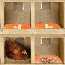 2pcs/1set Washable Chicken Coop Mats, Reusable Nest Pads, Soft & Durable Liners For Henhouse Nest Box, Portable Coop Accessories - Orange - View 7
