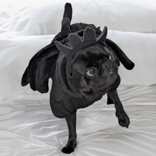 Spider Costume For Halloween - Black - View 1