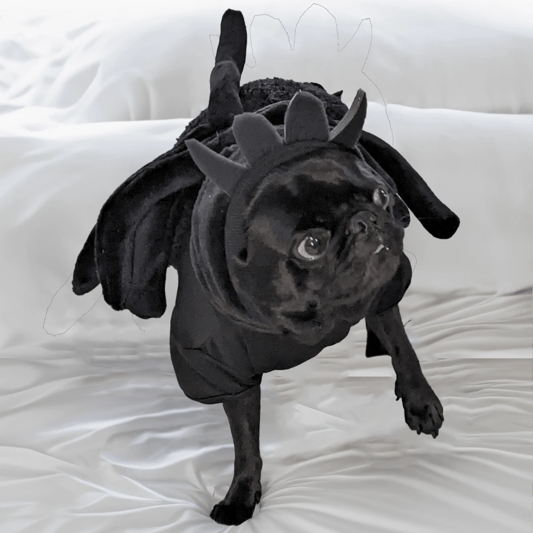 Spider Costume For Halloween - Black - View 1