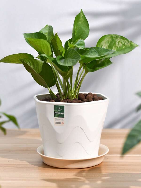 1pc Plastic Hexagon Flower Pot And Round Tray, Compact Size For Desktop Planting, White/Beige/Dark Grey/Brick Red, Perfect For Office Or Balcony Desktop, 17.5*14.5cm
