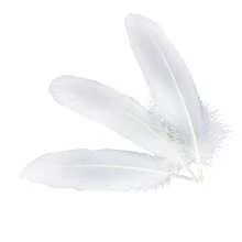 1包50支15-20cm白色大鵝羽毛diy材料,可用於珠寶、帽飾、服裝、婚禮和派對裝飾,表演裝飾
