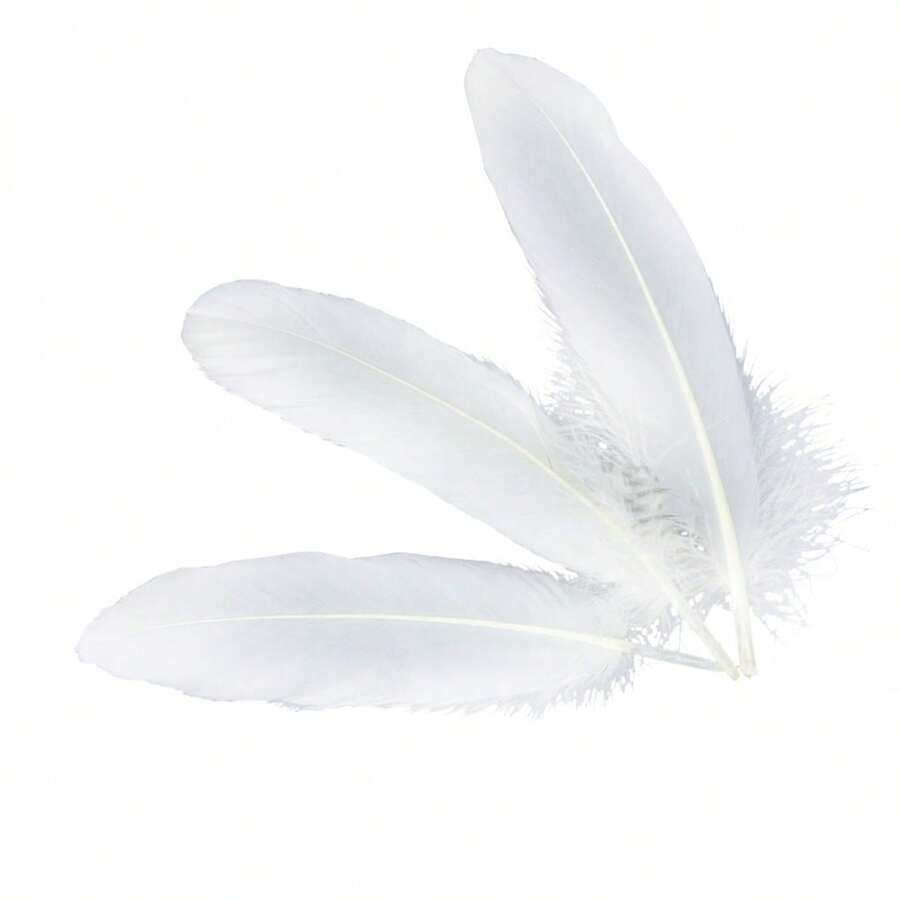1包50支15-20cm白色大鵝羽毛diy材料,可用於珠寶、帽飾、服裝、婚禮和派對裝飾,表演裝飾
