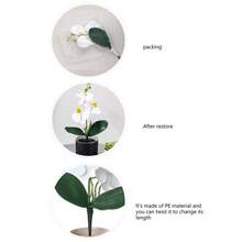 1pc mô phỏng in 3D lan hồ điệp, màu cam, 3 đầu hoa với 2 lá, cây mô phỏng, trang trí văn phòng ký túc xá trường học, trang trí mùa tựu trường, hoạt động tiệc ngoài trời, trang trí tiệc sinh nhật ngày lễ, trang trí lễ hội thu hoạch Halloween Giáng sinh, sinh hoạt tại nhà hàng khách sạn phòng ngủ tiệc cưới nhà bếp trang trí sân vườn trang trí xuân hè - trái cam - Xem 7