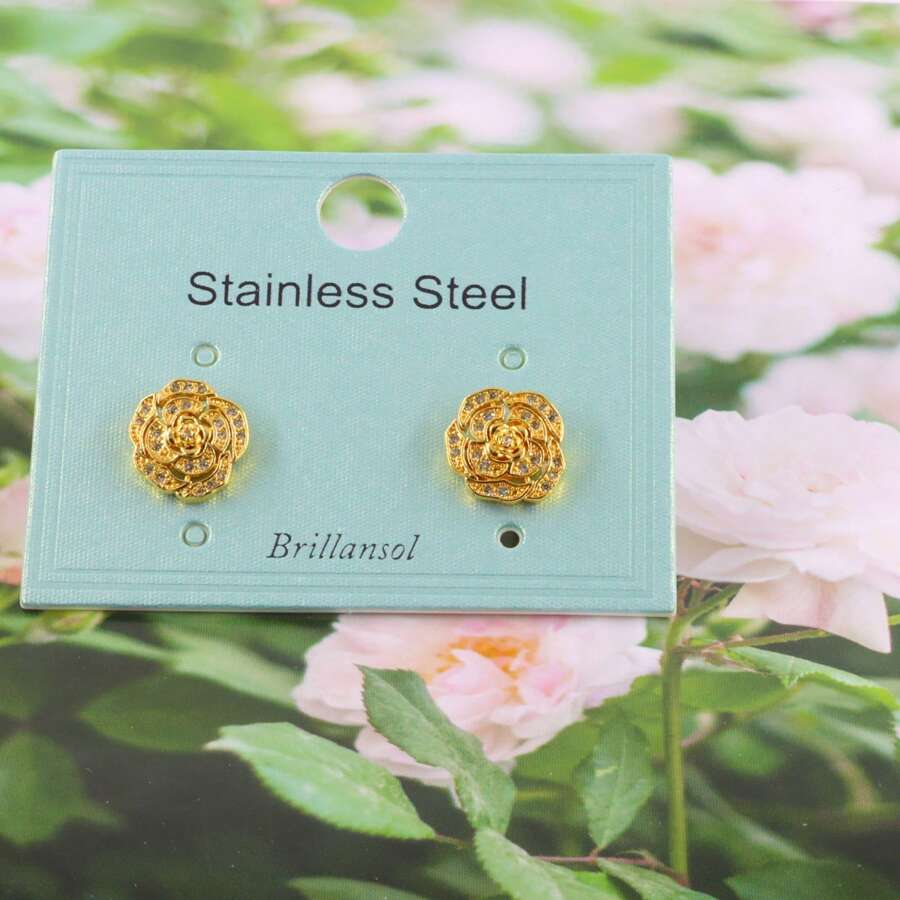 Aretes de Chapa de Oro - Rosa "Transparente" - Ver 1