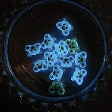 10 件随机混合卡通棕熊图案 DIY 美甲装饰