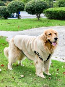 1 Miếng ngẫu nhiên Dày Plush ấm áp Áo vest , Phải có Đối với Các hoạt động ngoài trời Với Chó to - Màu be - Xem 7