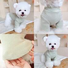 Áo thun Thú cưng Sọc - màu nâu - Xem 4