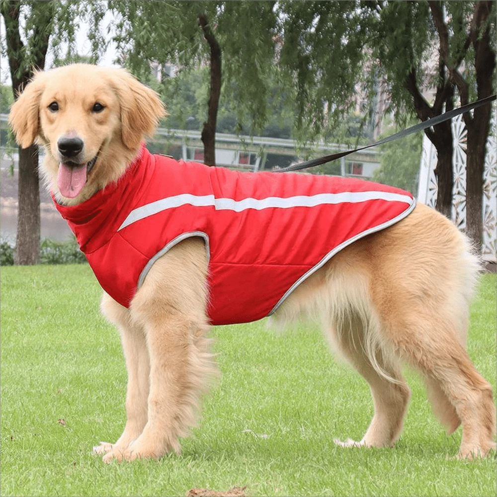 1pc Multicolor Polyester Winter Dog Jacket, Night Reflective, Warm, Suitable For Outdoor Activities - Red - View 1