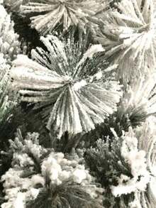 Artificial Tree - 綠色 - 查看 2