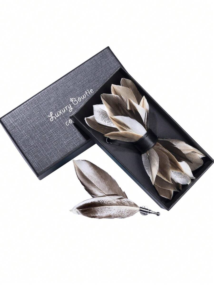 新品到貨手工製作羽毛圖案領結帶禮物盒&西裝領別針,完美適合婚禮,伴郎,主持人,派對,商業