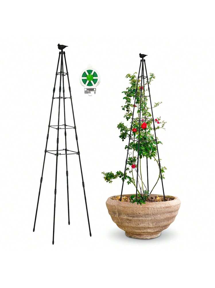 thuja beet Thuja Virginian™ main image 0