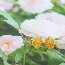 Aretes de Chapa de Oro - Rosa "Transparente" - Ver 2