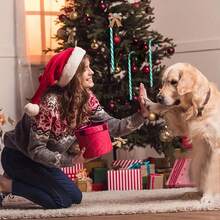 18 件圣诞节拐杖糖套装用于圣诞树装饰，拐杖糖吊坠用于场景布置最佳礼物 - 彩色 - 查看 4