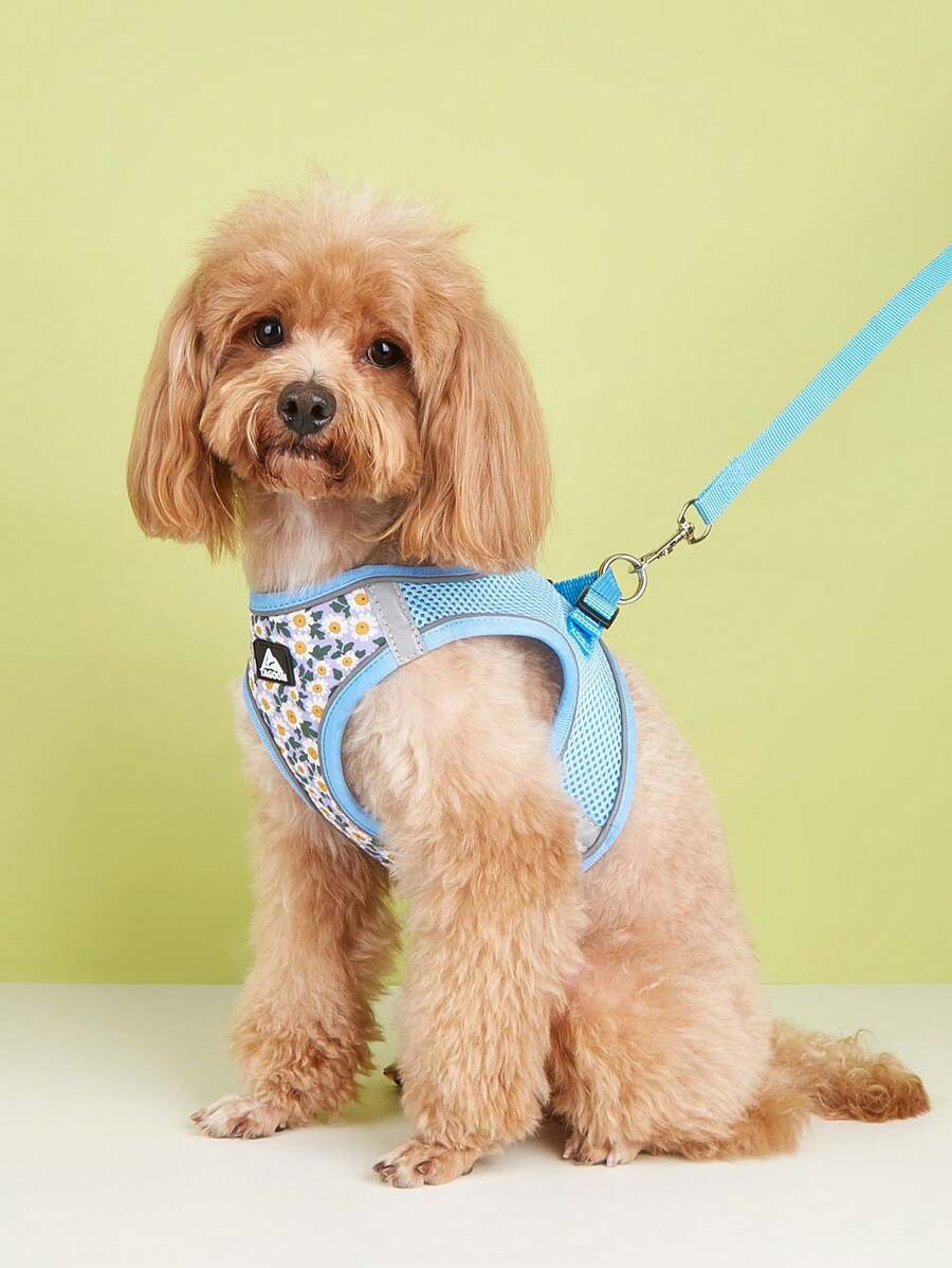 1pc Blue Breathable & Reflective & Stretchable Pet Harness & Leash Set, Suitable For Both Cats And Dogs Daily Use - Blue - View 1