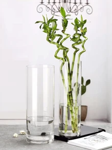 1入組生態瓶高硼玻璃花瓶水培容器微景觀花瓶玻璃魚缸,適用於水培、水族箱和玻璃花園裝飾 - 透明 - 查看 6