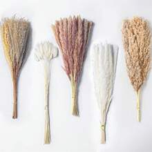 110pcs Dried Pampas Grass Decoration - 17.3" Natural Pampas Grass, Lagurus Ovatus & Reed Flower Bouquet For Wedding Bohemian Flower Home Table Decor, Rustic Farmhouse Party - Multicolor - View 1