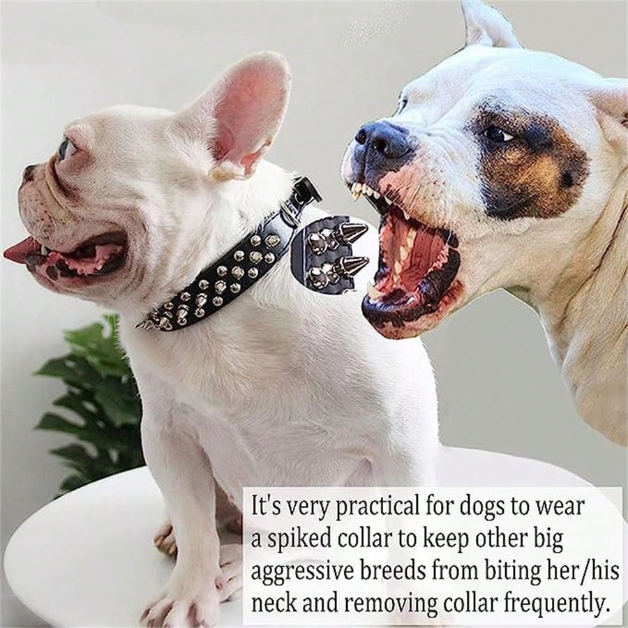 1pc Leather Spiked Dog Collar With Chain, Pet Collar SHEIN Singapore