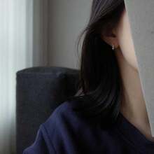 1對優雅的銅鑲嵌水晶和銀色掛墜耳環,女性時尚珠寶耳針