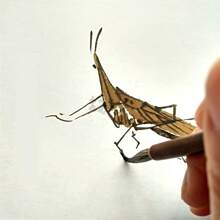 3 件套 毛线勾线细画笔 中国书法毛笔 画笔 美术油画笔 返校用品 - 杏色 - 查看 7