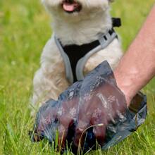 Thú cưng Lãng phí Túi Với In Mẫu , Có sẵn In Nhiều Màu sắc Và Kích thước ( Nhiều màu ) - Nhiều màu - Xem 7