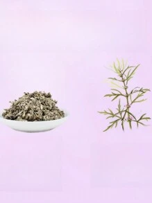 10入組自發熱經痛貼,女性暖貼,含艾草、益母草