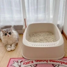 1 Set Of 2 Pieces Cat Litter Box With Handle And Sand Scoop Anti-slip - White - View 5