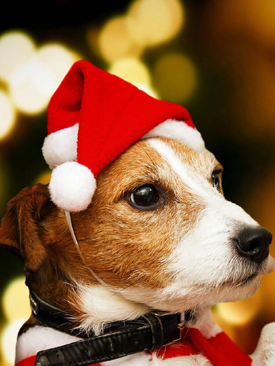 Trang trí tiệc - Nhiều màu - Xem 1