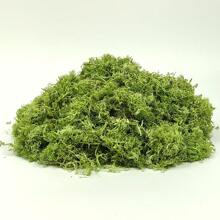 100g/3.5oz綠色保鮮苔蘚,乾燥苔蘚為盆栽植物及工藝裝飾之用 - 薄荷綠 - 查看 4