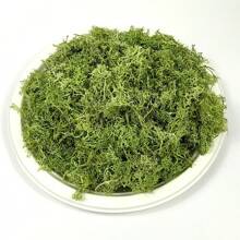100g/3.5oz綠色保鮮苔蘚,乾燥苔蘚為盆栽植物及工藝裝飾之用 - 薄荷綠 - 查看 3